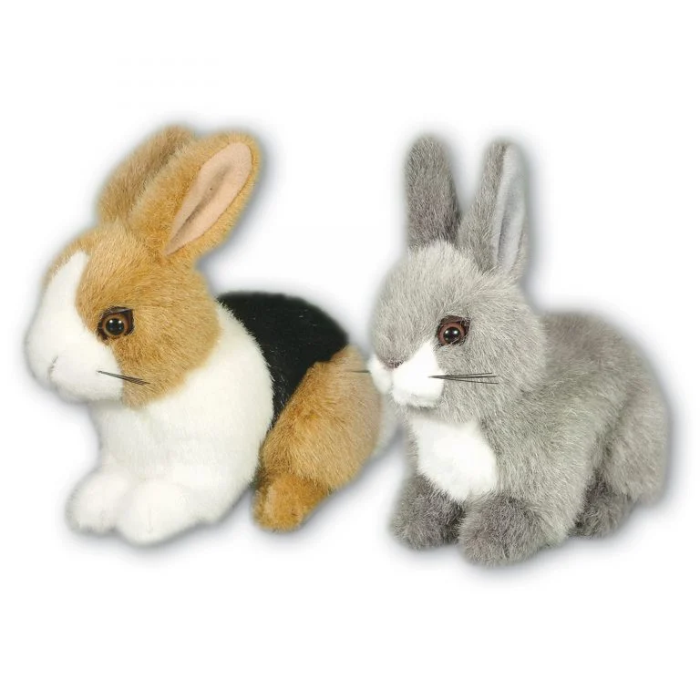 Baby Rabbits