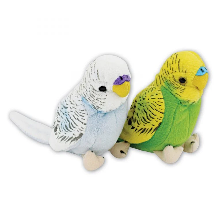 Budgerigar with Beans