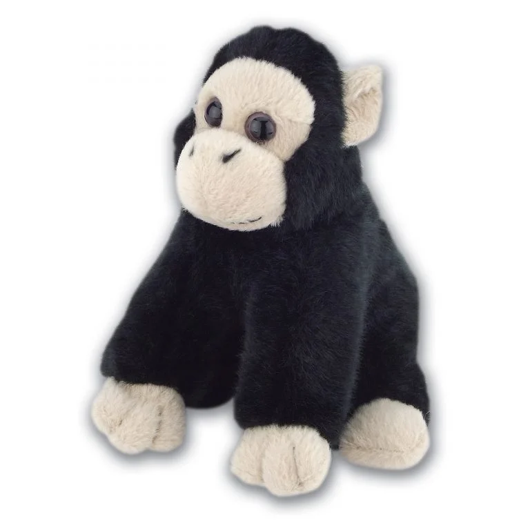Chimpanzee with Beans