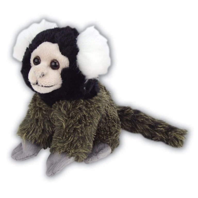 Marmoset with Beans