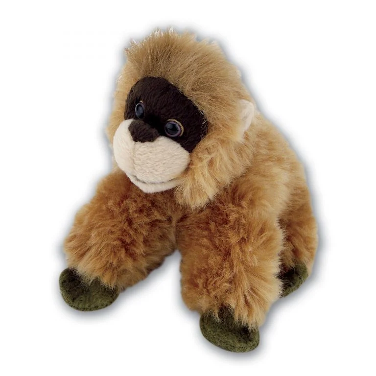 Orangutan with Beans