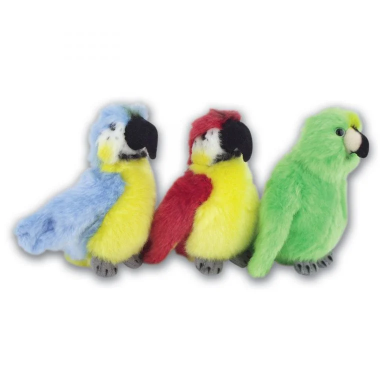 Parrots with Beans