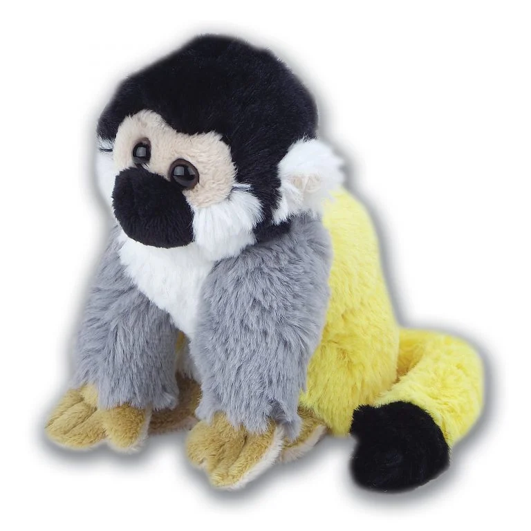 Squirrel Monkey with Beans