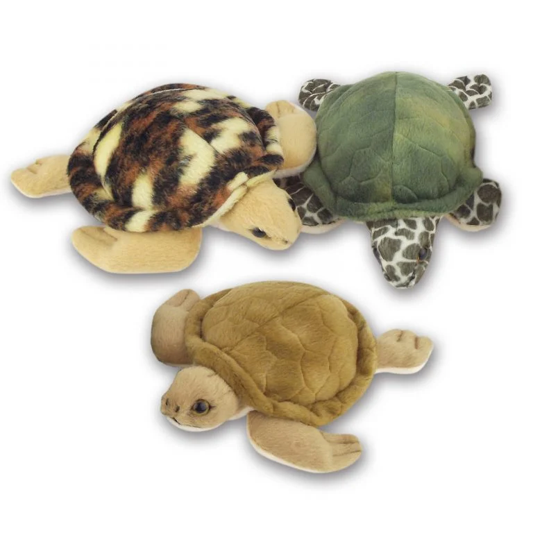 Turtles with Beans