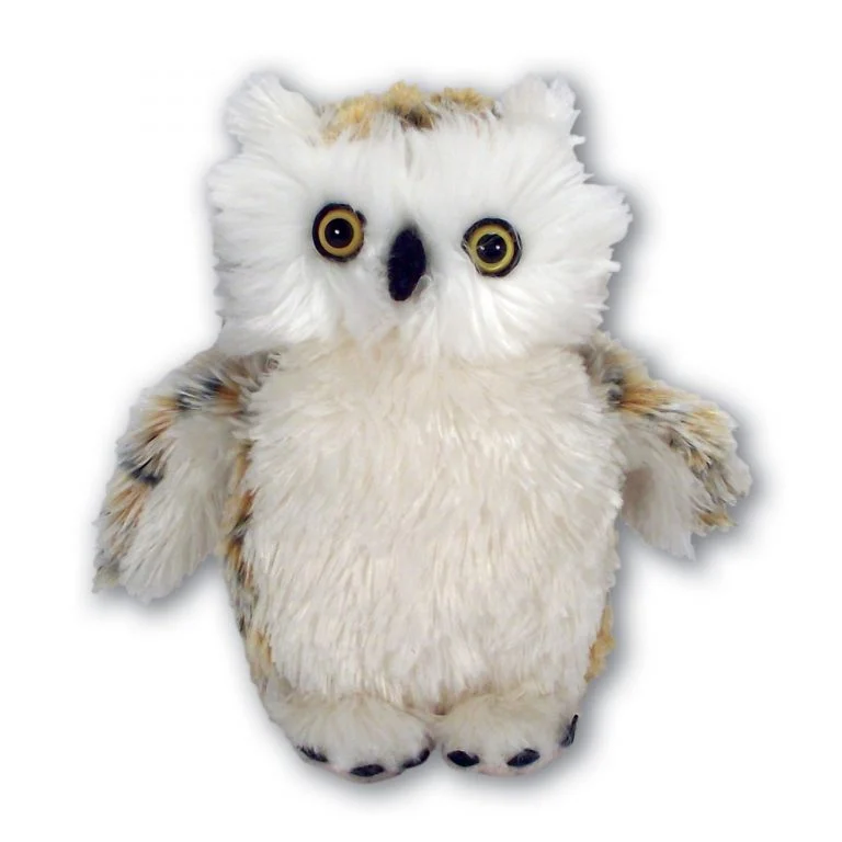 Fluffy Owl with Beans