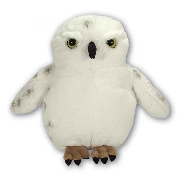 Large Fluffy Snowy Owl with Beans