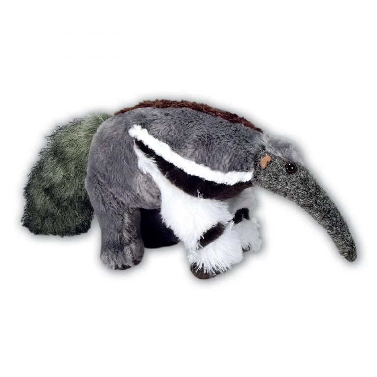 Anteater