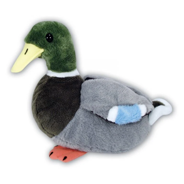 Large Mallard Duck with Beans