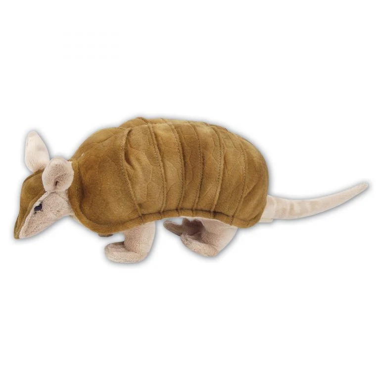 Armadillo with Beans