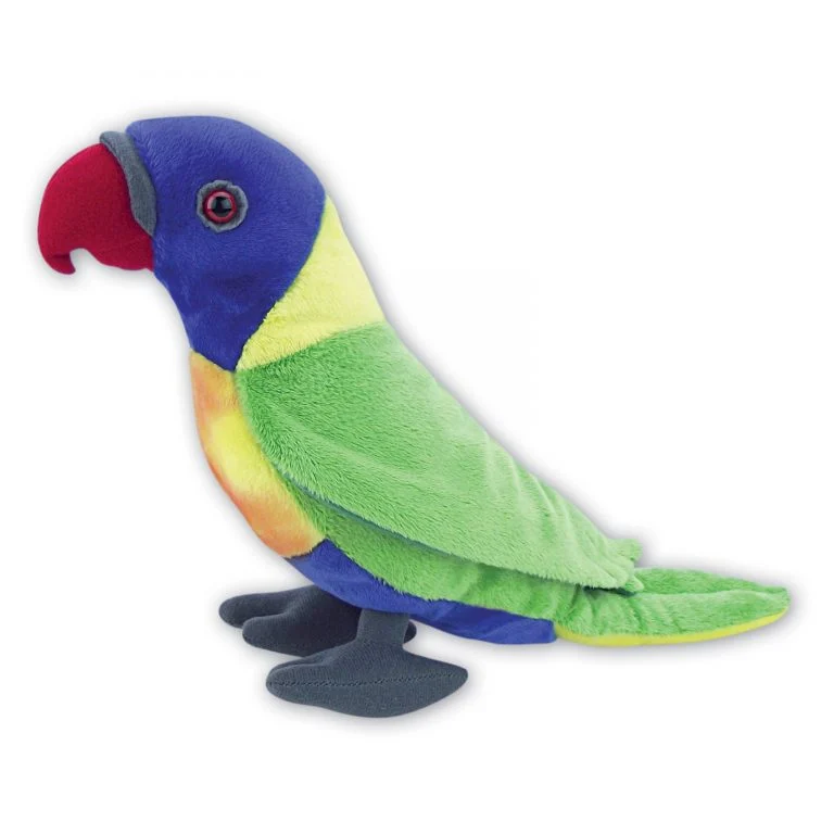 Lorikeet with Beans