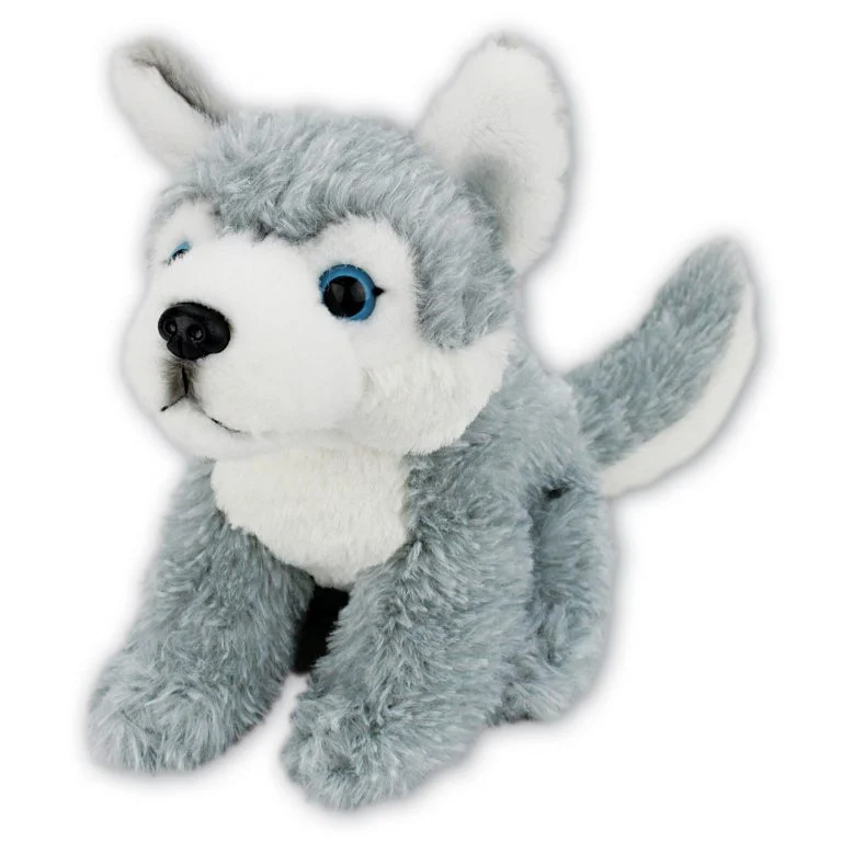 Husky Dog with Beans