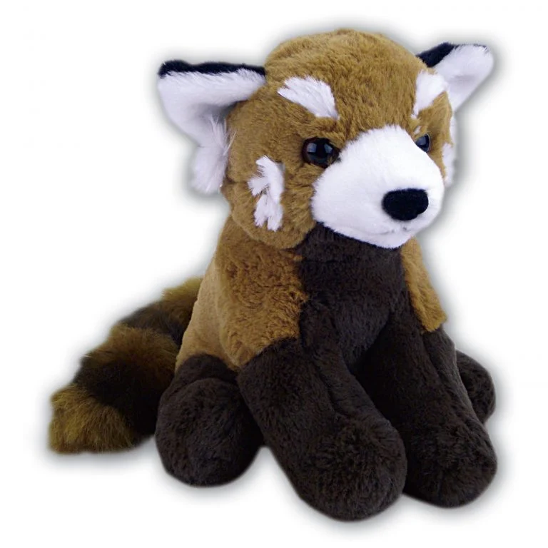 Sitting Red Panda with Beans