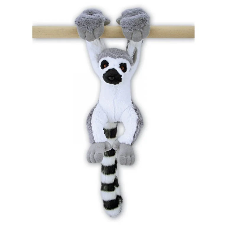 Big Hands Ringtail Lemur