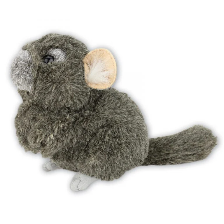 Chinchilla