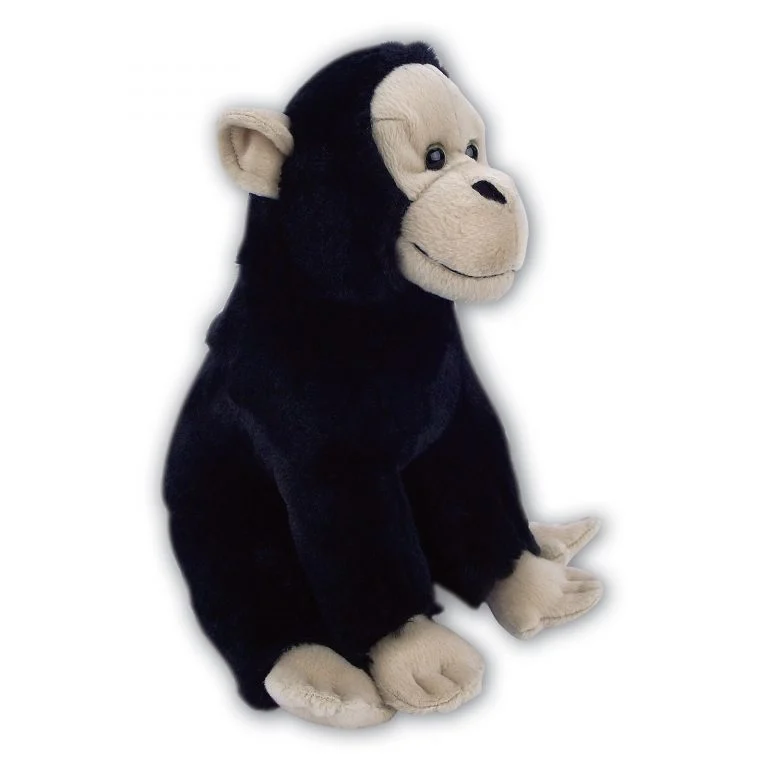 Sitting Chimpanzee with Beans