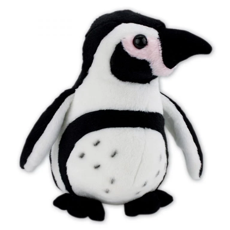Standing Humboldt Penguin with Beans