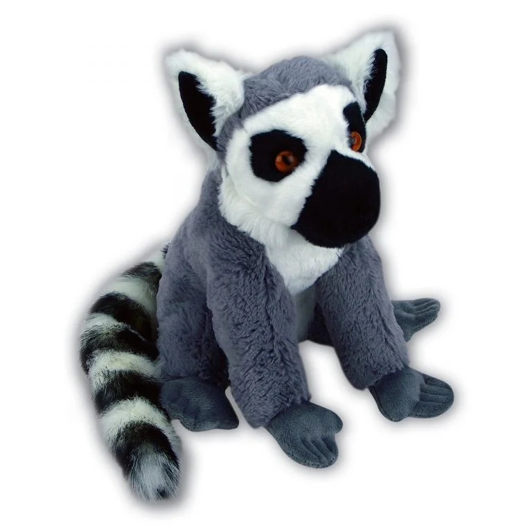 Sitting Ringtail Lemur with Beans