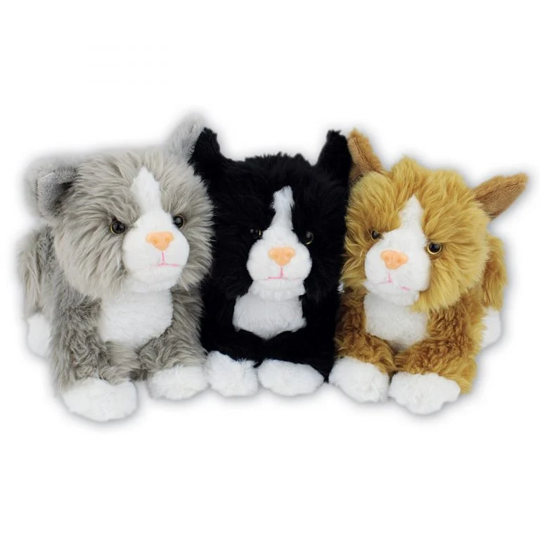 Cats