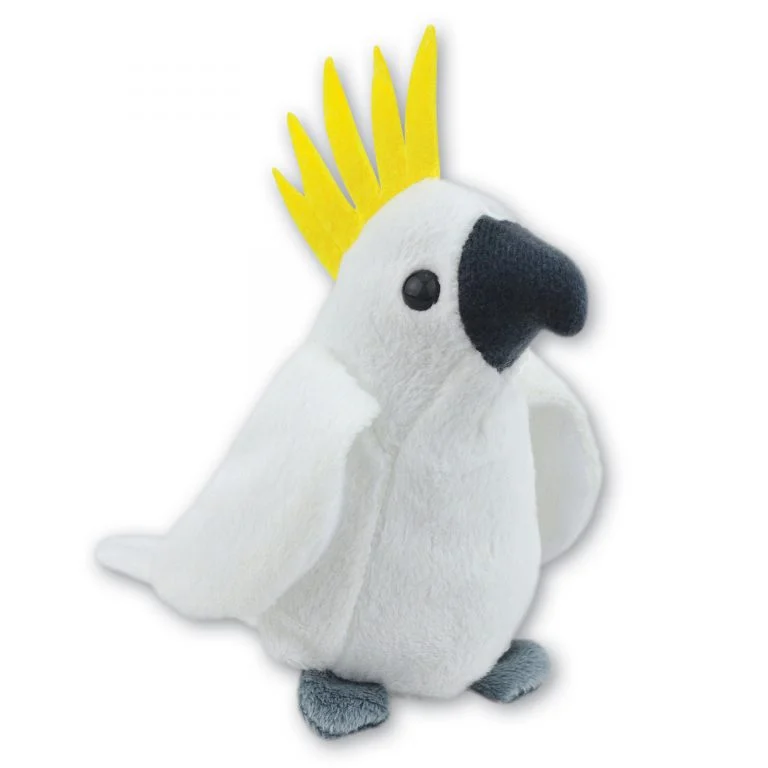 Cockatoo with Beans