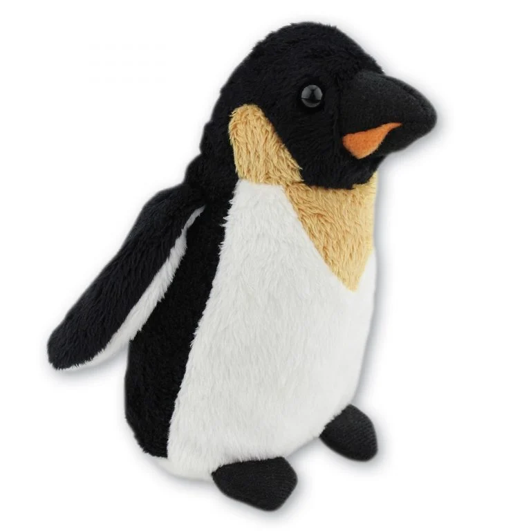 Emperor Penguin with Beans