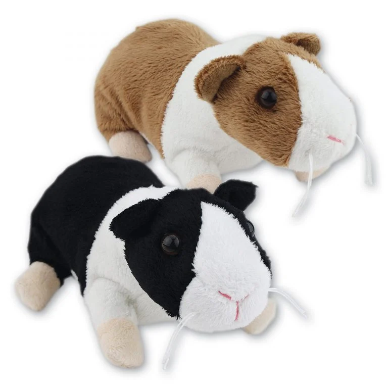 Guinea Pigs with Beans