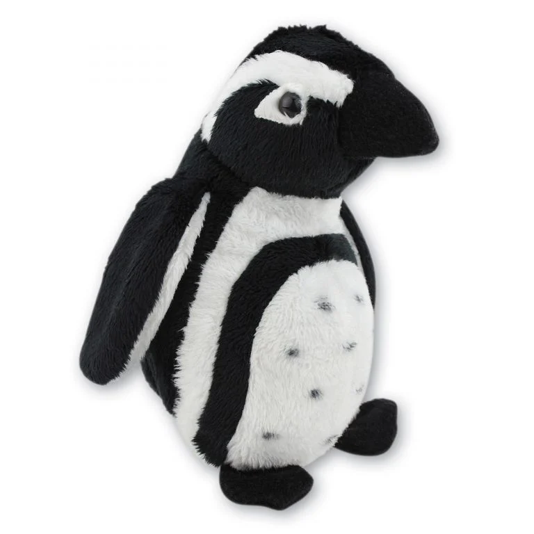 Humboldt Penguin with Beans