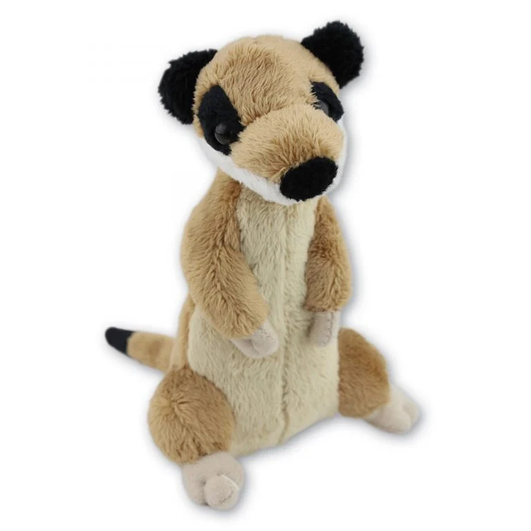 Meerkat with Beans