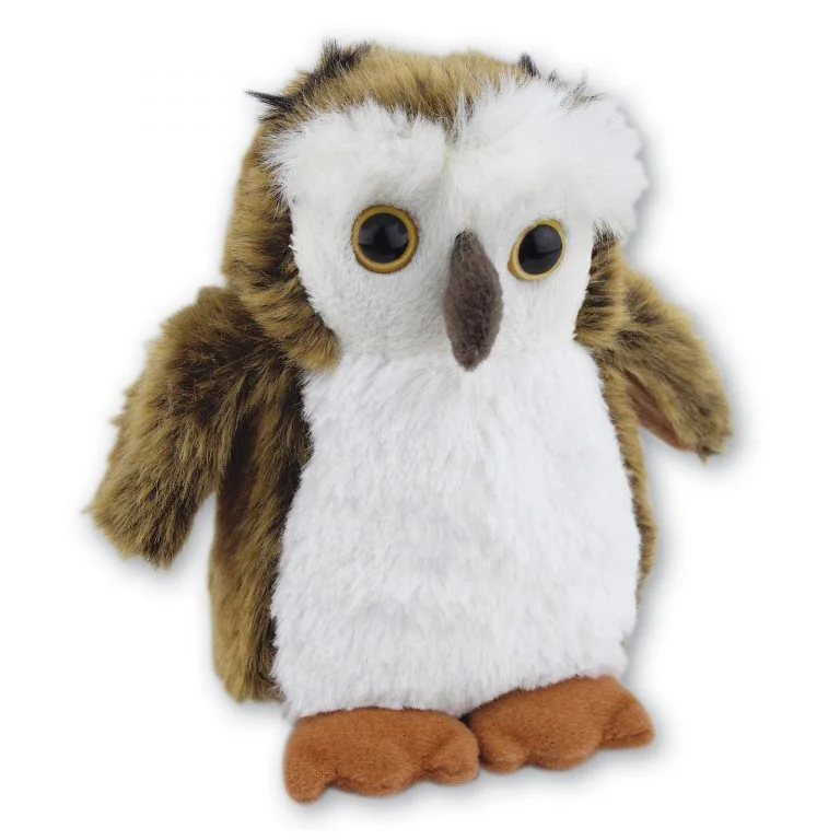 Owl with Beans