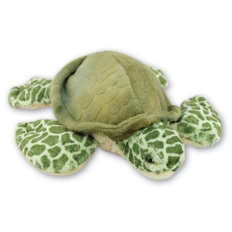 Turtle with Beans