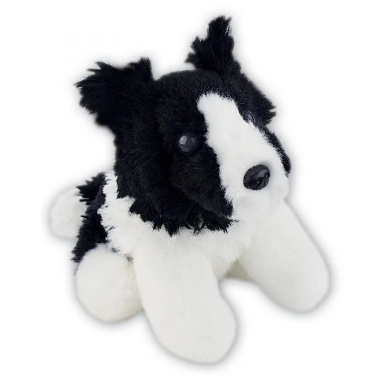 Collie Dog with Beans
