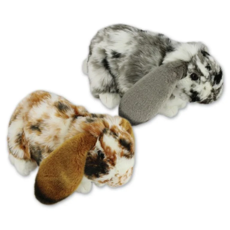 Large Rabbit with Beans