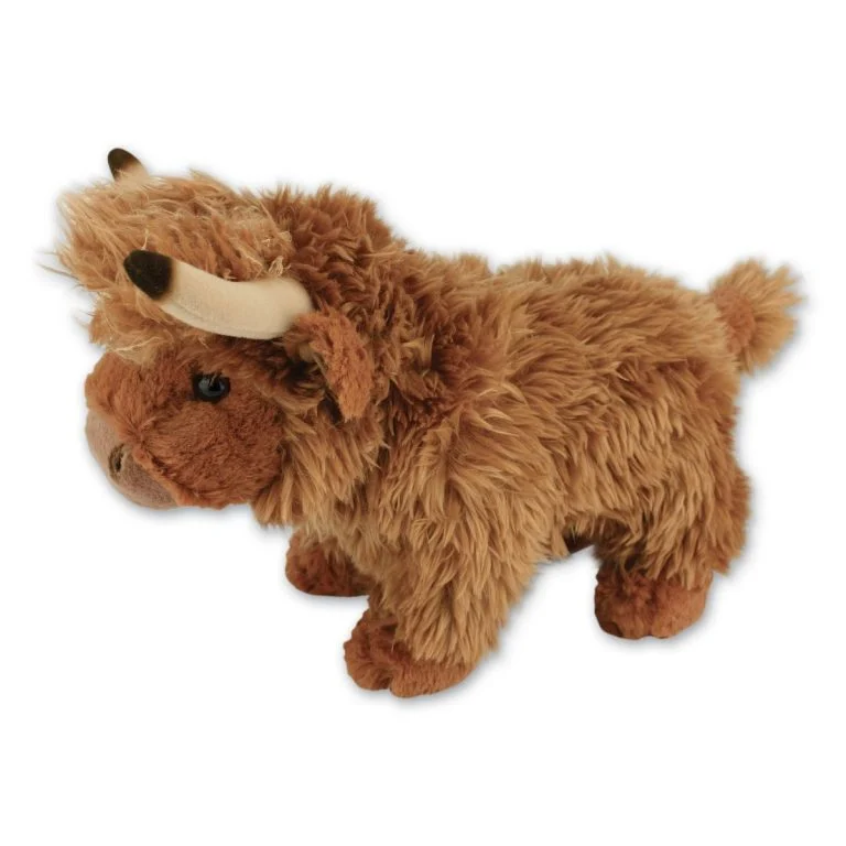 Large Highland Cow with Beans