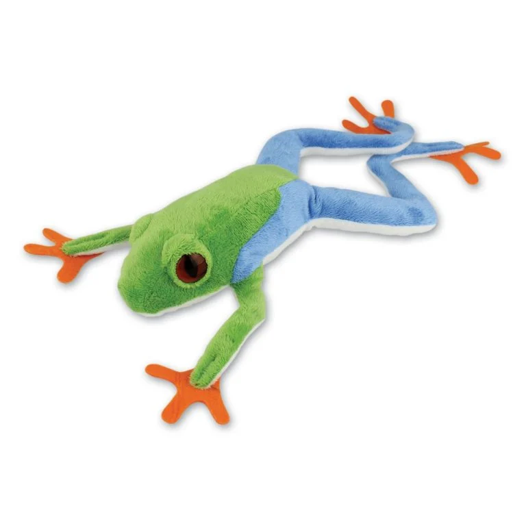 Red Eye Tree Frog with Beans