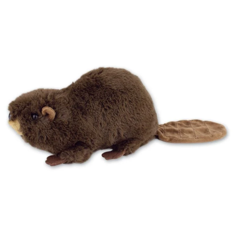 Beaver with Beans