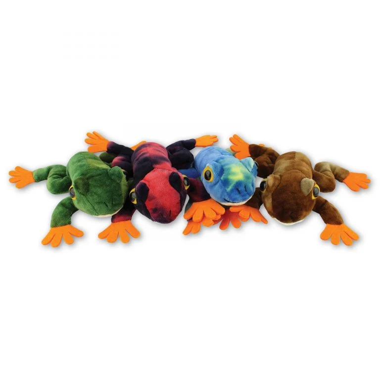 Frog with Beans