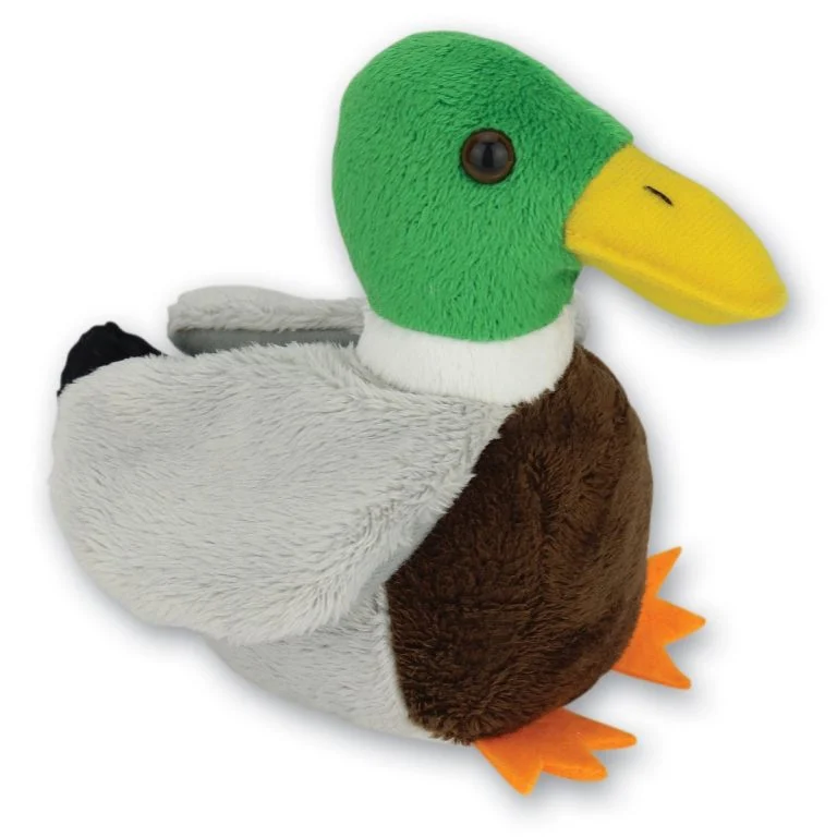 Mallard with Beans