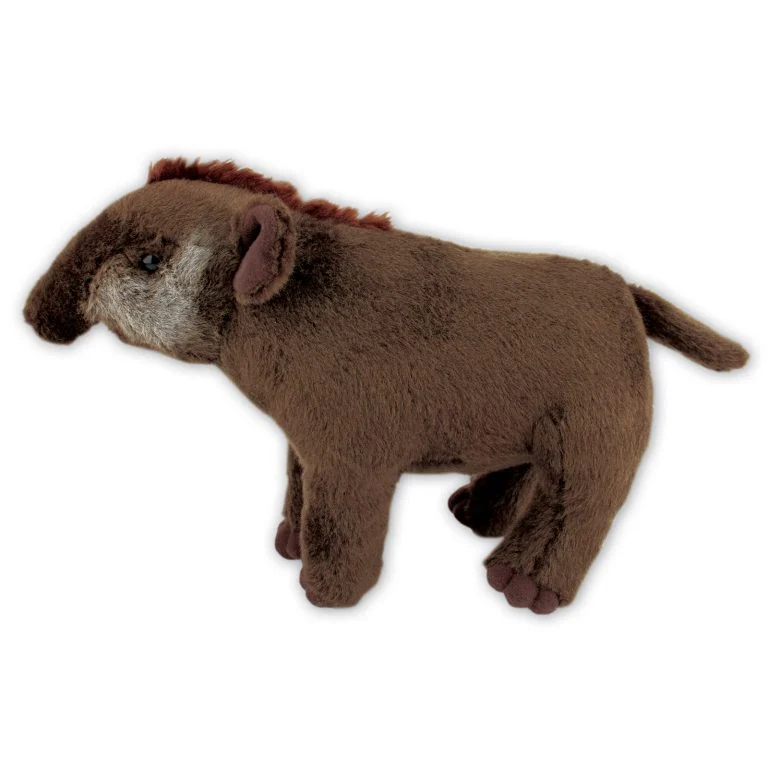 Tapir