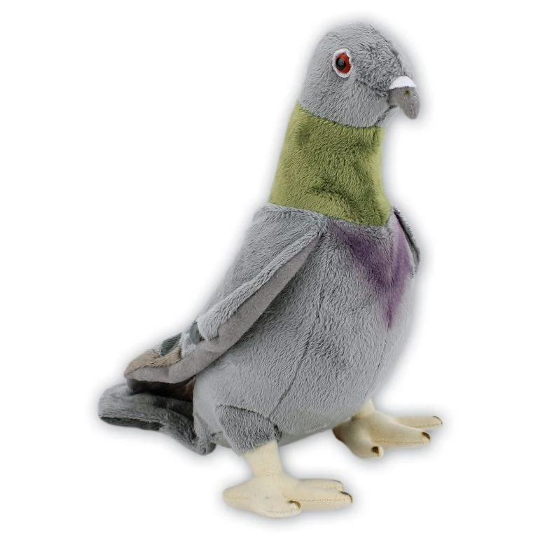 Pigeon with Beans