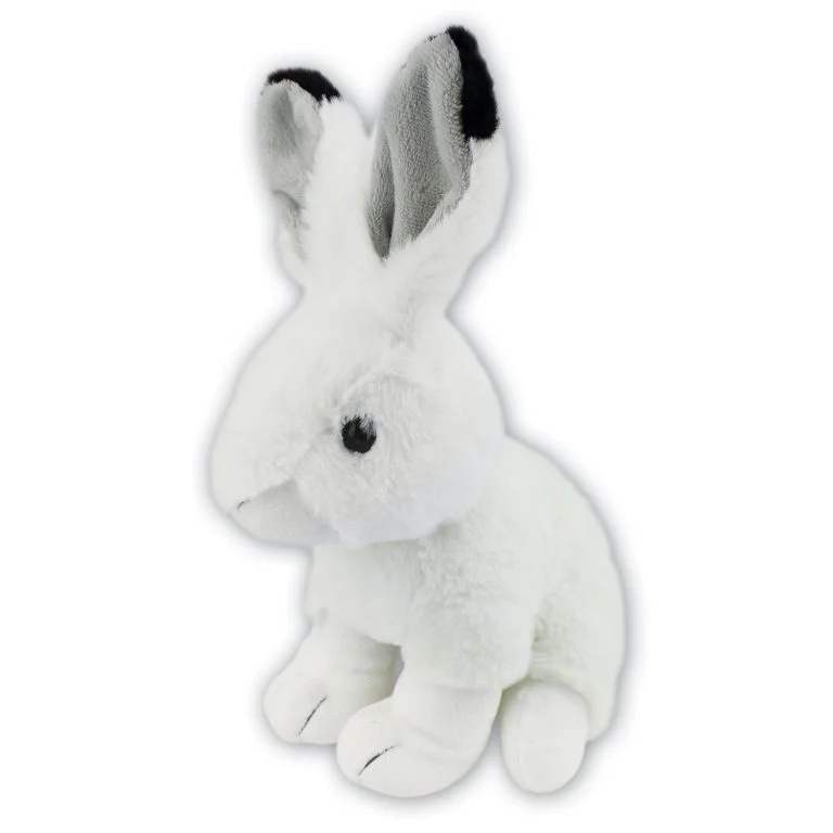 Artic Hare with Beans