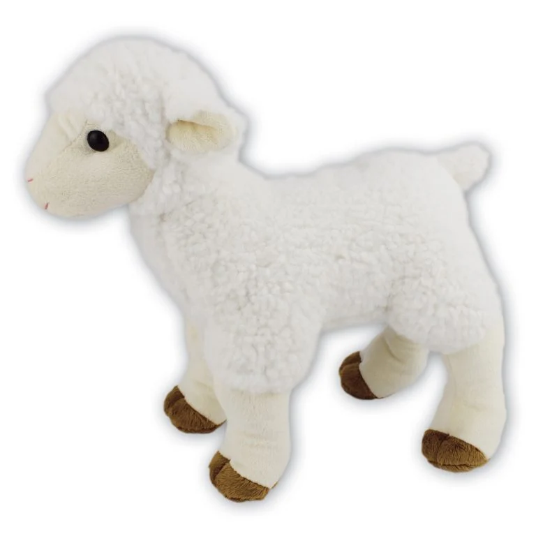 Lamb Standing