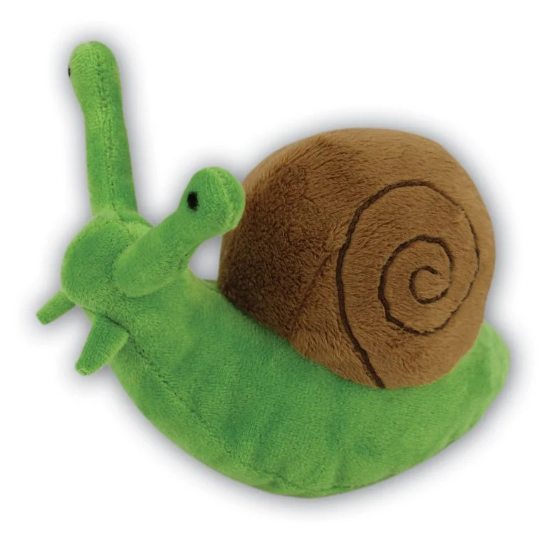 Snail with Beans