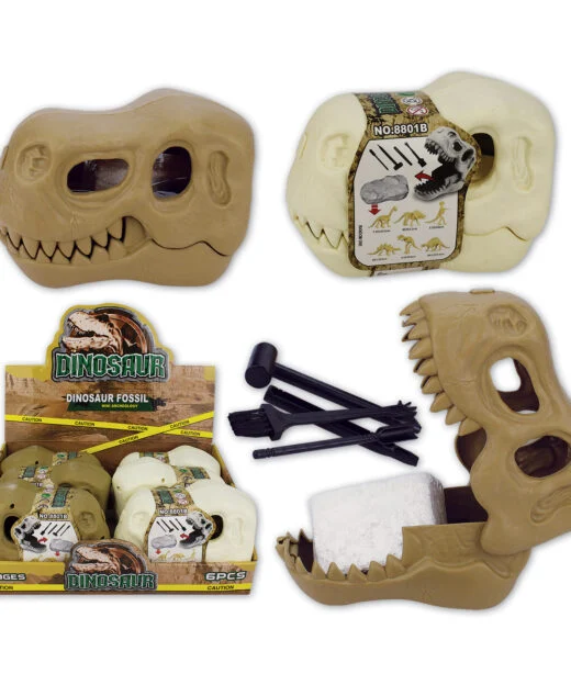 Dinosaur Excavation in Skull