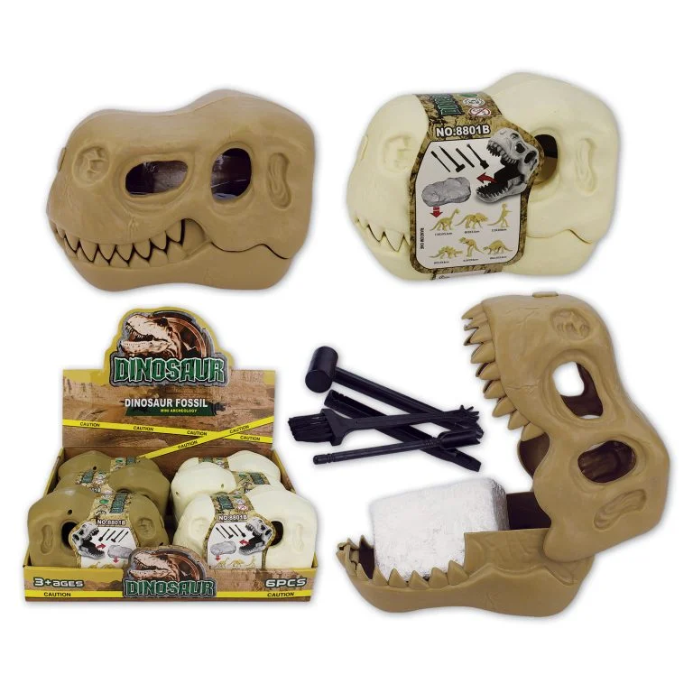 Dinosaur Excavation in Skull