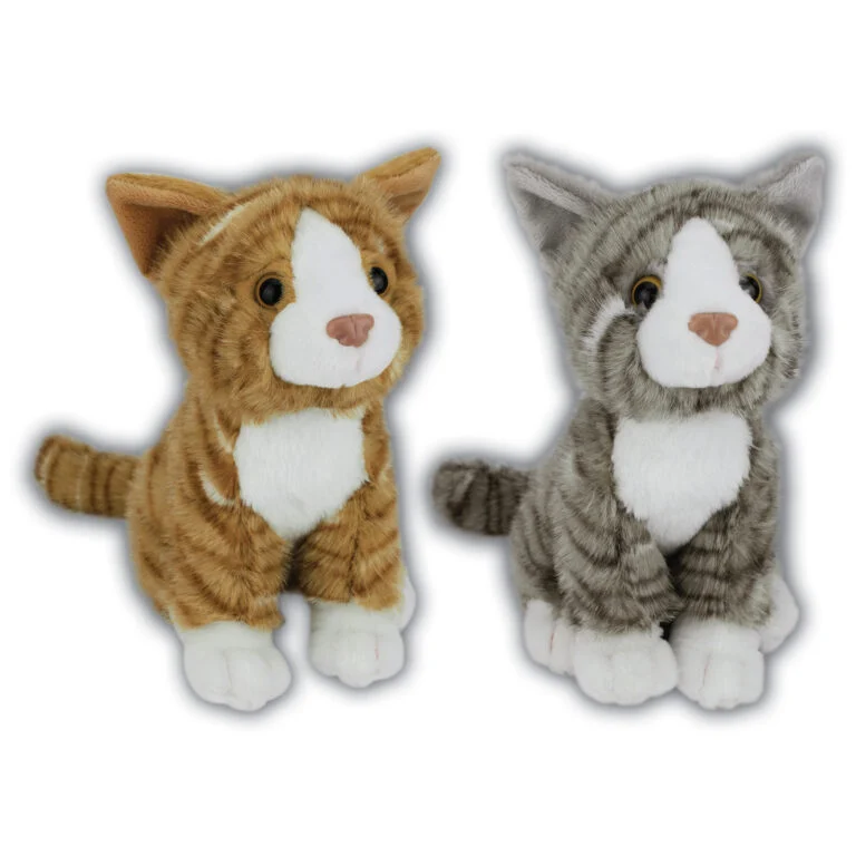 Sitting Cats