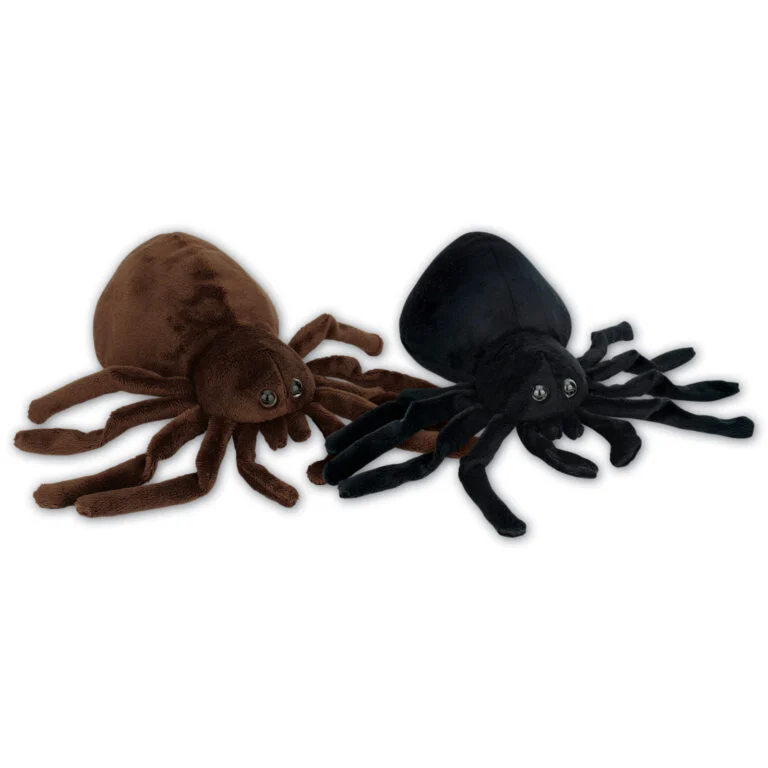 Spider with Beans