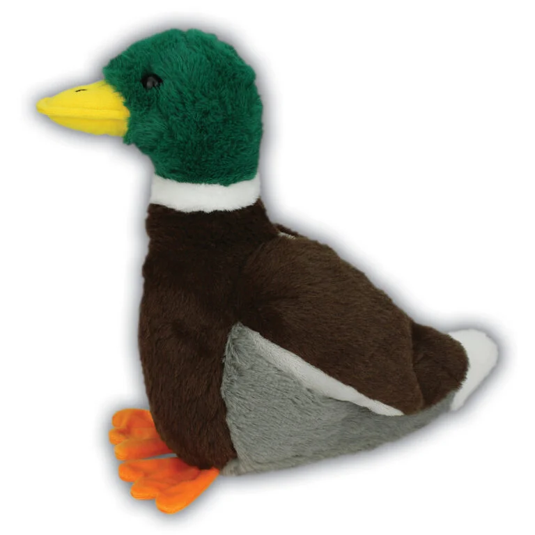 Mallard Duck with Beans