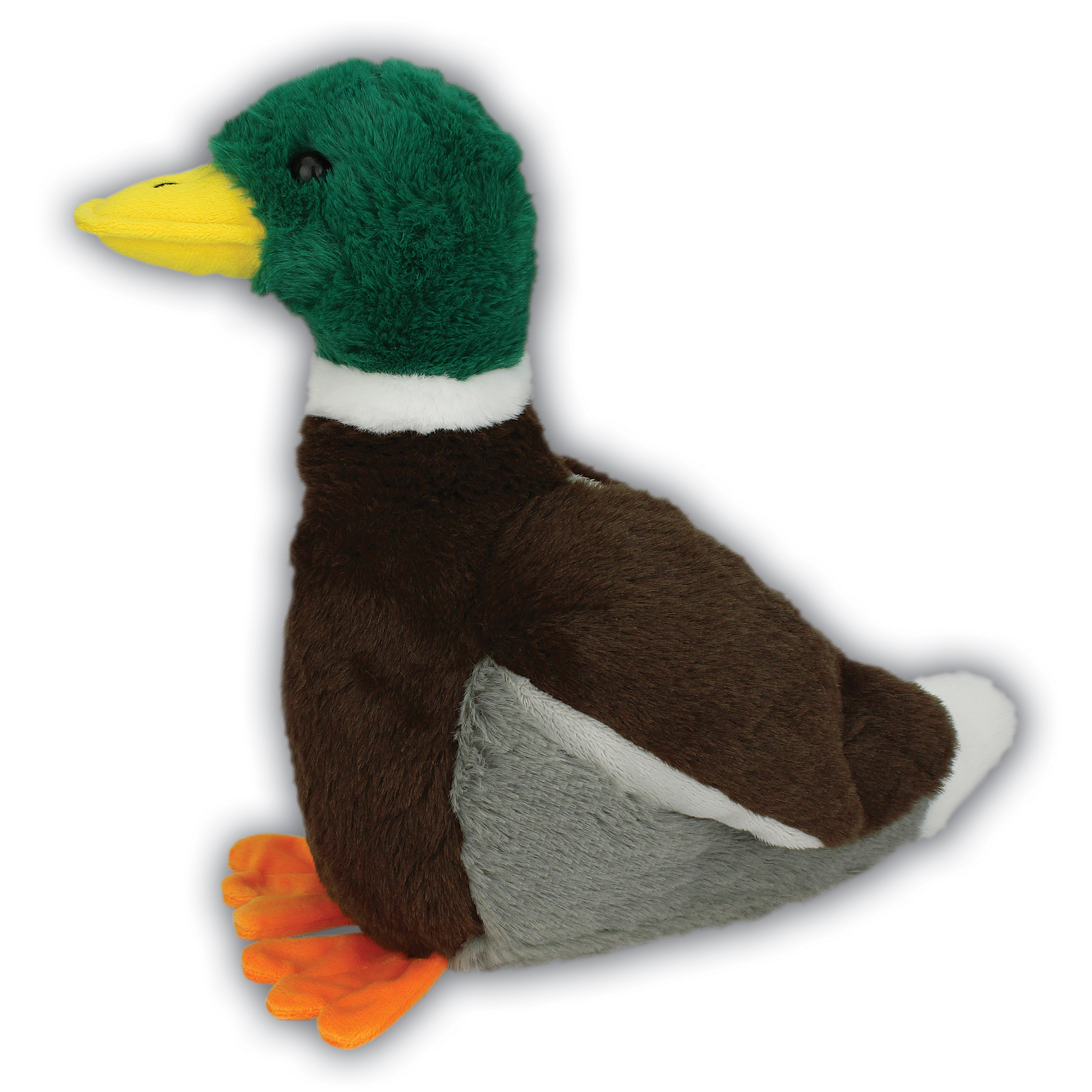 MS131_MallardDuck