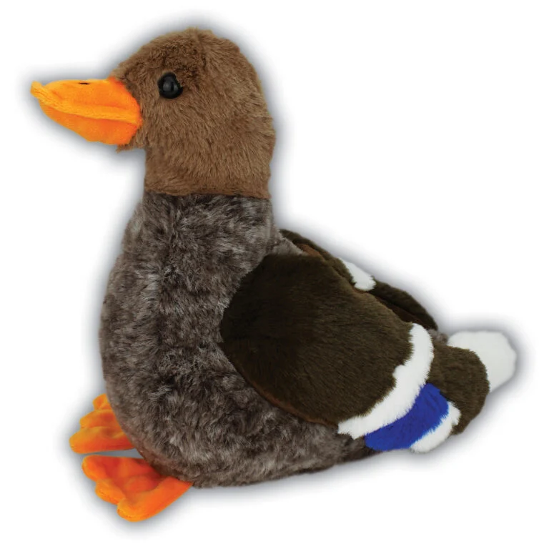 Brown Duck with Beans