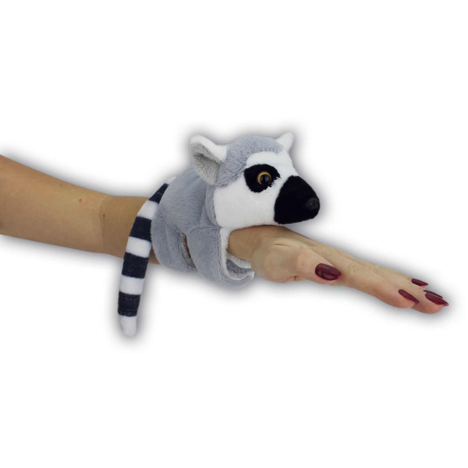 MS138_RingtailLemur_2