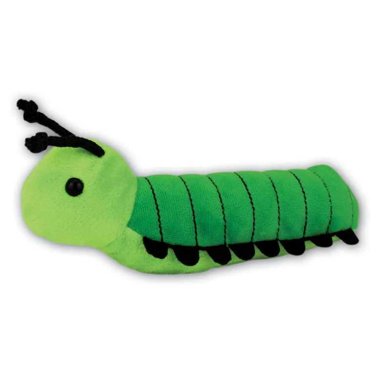 Caterpillar with Beans